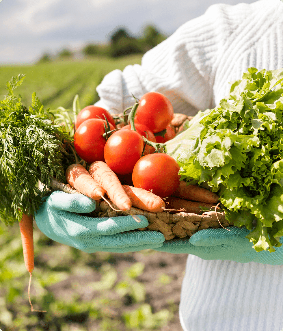 Fresh vegetables in a basket