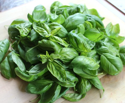 Fresh Basil - 50g