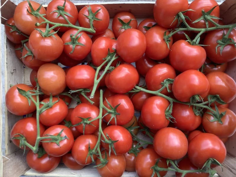 Vine Tomatoes - 400g