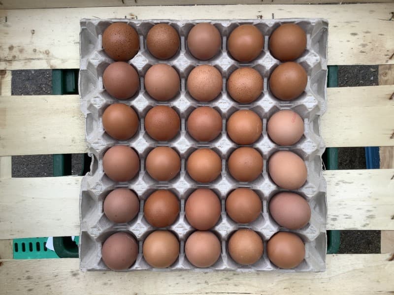 60 Large Eggs