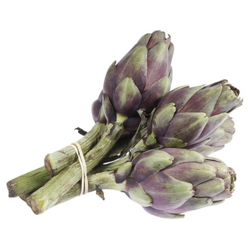 5 x Baby Purple Artichoke