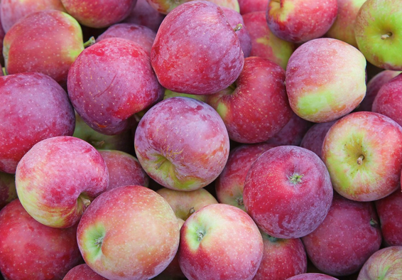 Spartan Apples - 500g